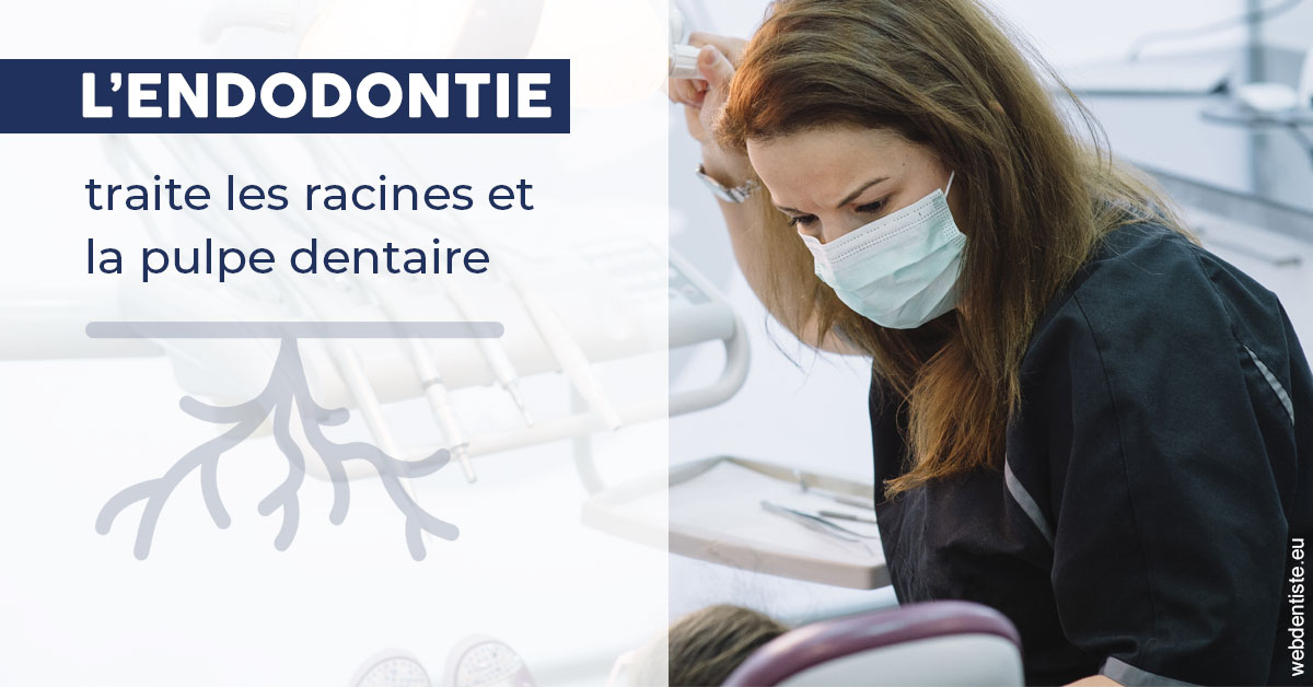 https://dr-galet-francois.chirurgiens-dentistes.fr/L'endodontie 1