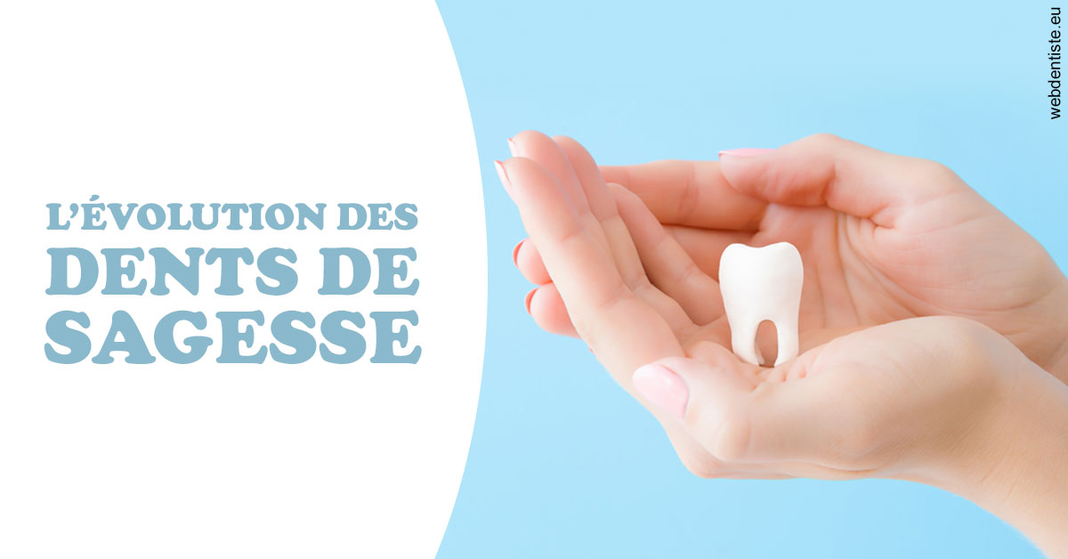 https://dr-galet-francois.chirurgiens-dentistes.fr/Evolution dents de sagesse 1