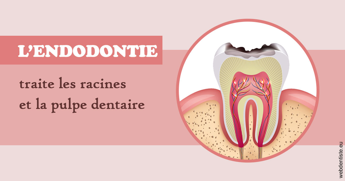 https://dr-galet-francois.chirurgiens-dentistes.fr/L'endodontie 2