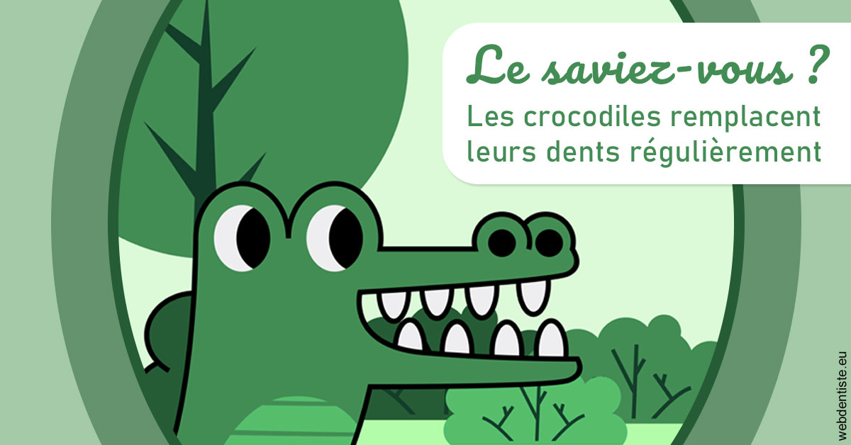 https://dr-galet-francois.chirurgiens-dentistes.fr/Crocodiles 2