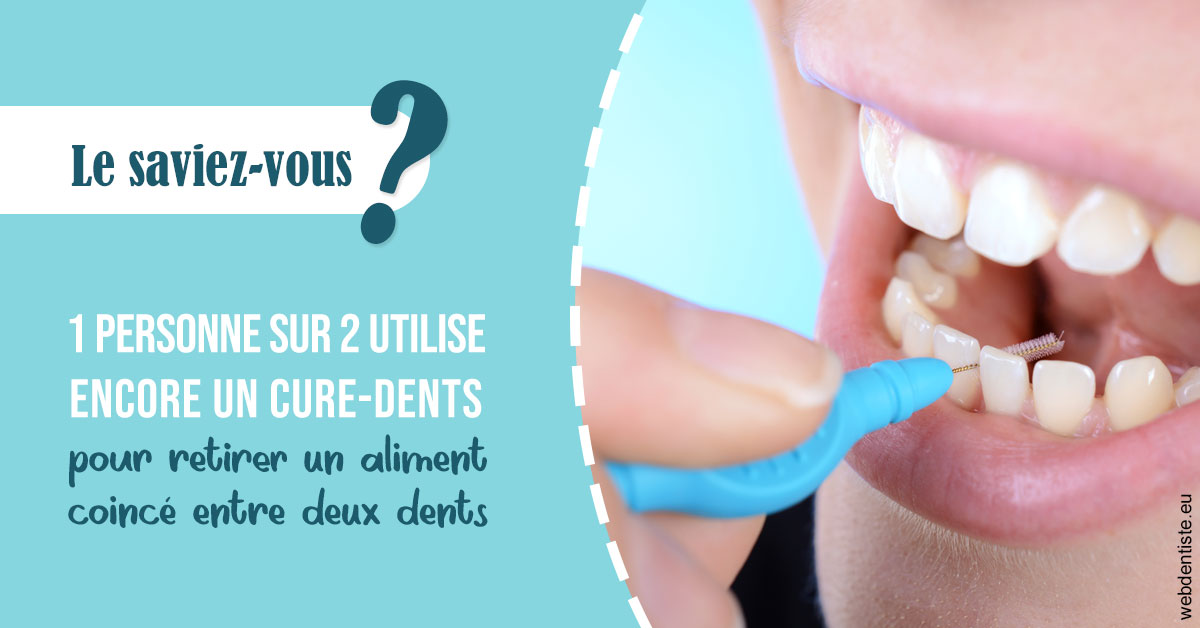 https://dr-galet-francois.chirurgiens-dentistes.fr/Cure-dents 1