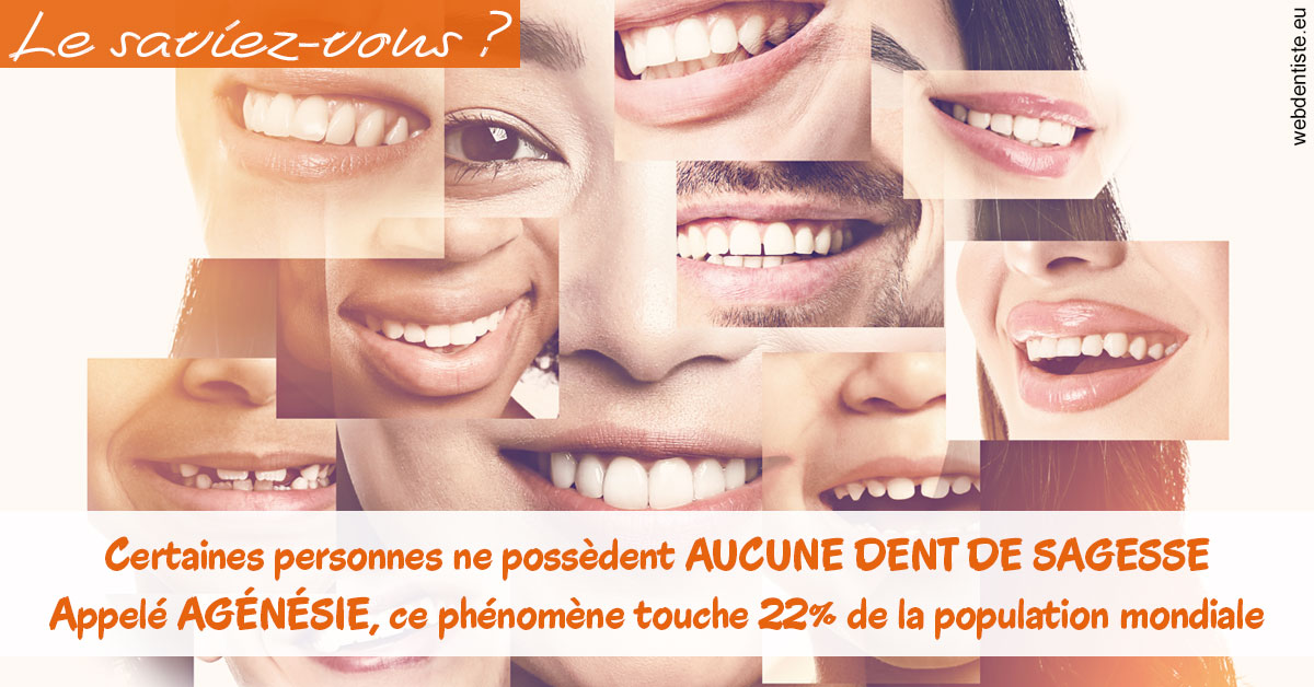 https://dr-galet-francois.chirurgiens-dentistes.fr/Agénésie 2
